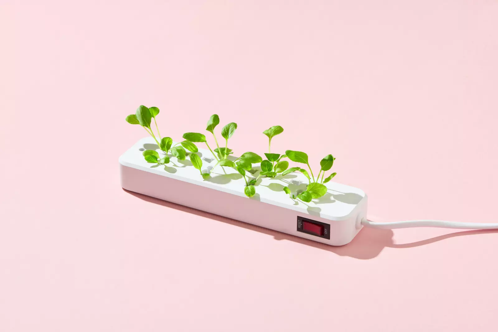 Ilustración de una regleta de enchufes de la que crecen plantas como muestra de la sostenibilidad del Stayery