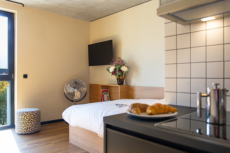 STAYERY BOCHUM EHRENFELD STAYERY BOCHUM EHRENFELD